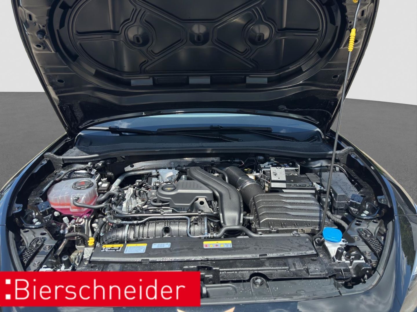 Cupra Leon - Bild 28