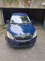 Skoda Roomster 1.6l TDI 77kW - Skoda Roomster: TDI