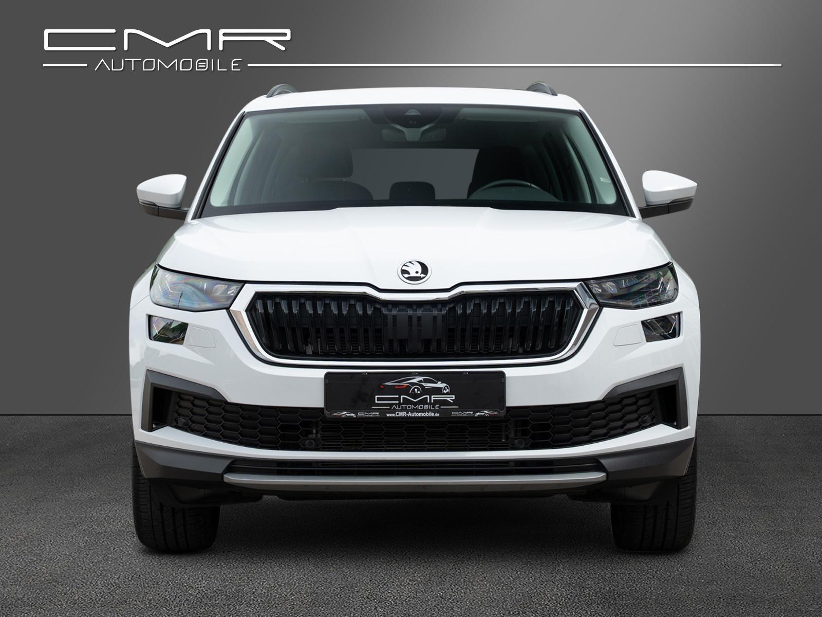 Skoda Kodiaq Ambition Tour AHK DAB+ SunSet Amundsen, миниатюра 3