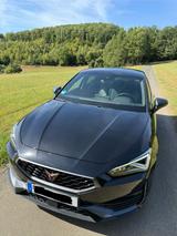 Cupra Leon 2.0 | 300 PS | Brembo | Beats | Vollleder - Cupra Leon von privat