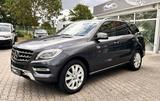 Mercedes-Benz ML 350 ML,CDI BlueTec,Allwetter,Standhzg,TÜV neu - Mercedes-Benz ML 350: Cdi