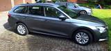 Skoda Octavia 1.5 TSI 110kW Essence/Comfort  - Skoda Octavia Comfort