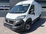 Fiat Ducato Maxi Grossr.-Kasten 35 160 L5H2 RS: 4035 - Fiat Ducato: L5h2