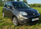 Fiat New Panda 1.2 8V LOUNGE - scheckheftgepflegte Fiat New Panda