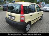 Fiat Panda 1.1 8V Active,5-TÜRIG,GARANTIE - Fiat Panda aus 2009