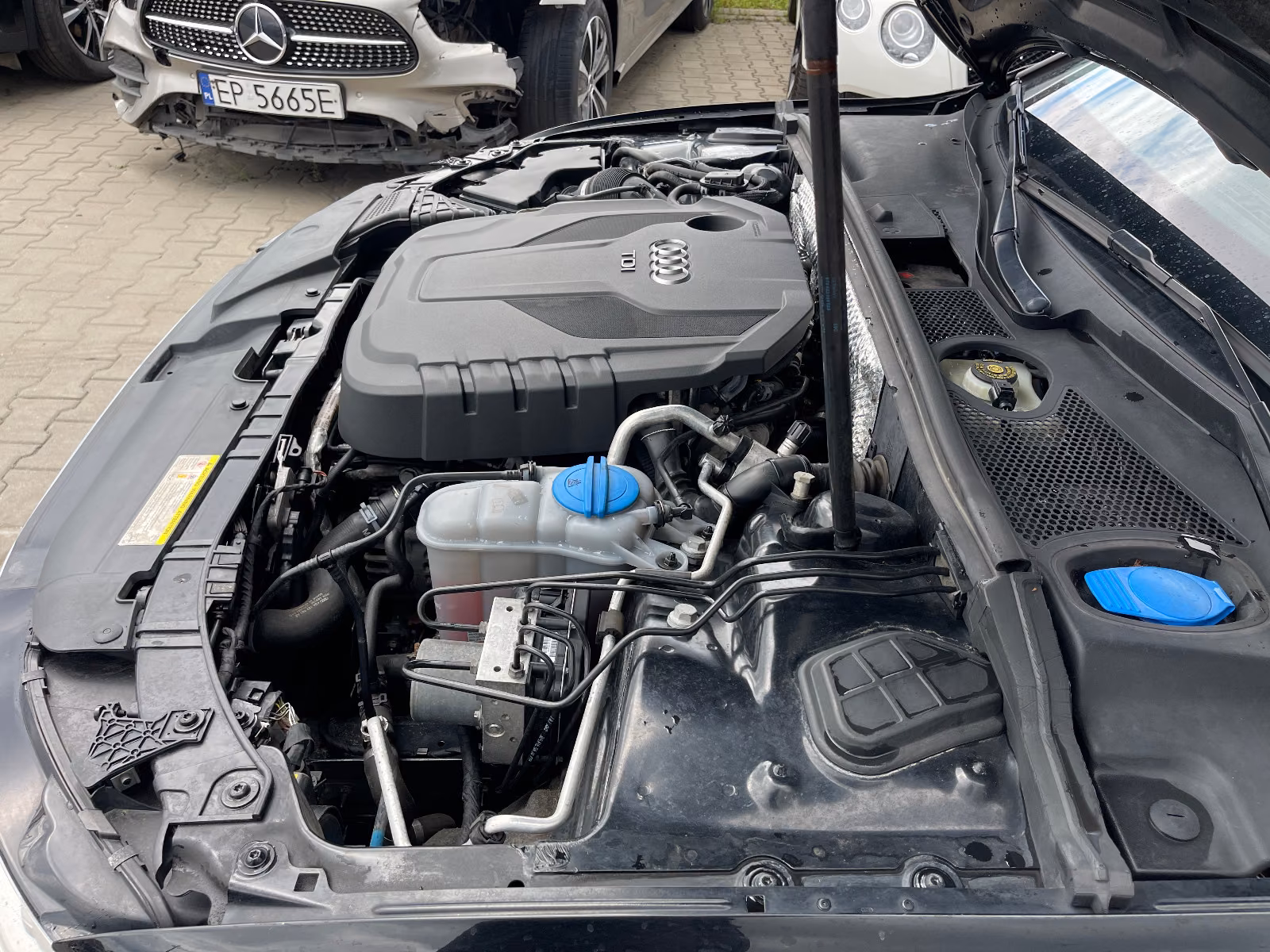 Audi Quattro 2015 — photo 17