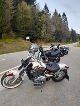 Honda Shadow VT1100 C2 - Angebote entsprechen deinen Suchkriterien