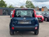 Fiat Panda Lounge - gebrauchte Fiat Panda aus dem Jahr 2014