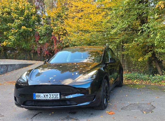 Tesla Model Y Hinterradantrieb SR 