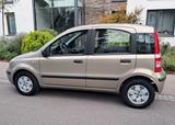Fiat Panda, 50tkm  - gebrauchte Fiat Panda aus dem Jahr 2007