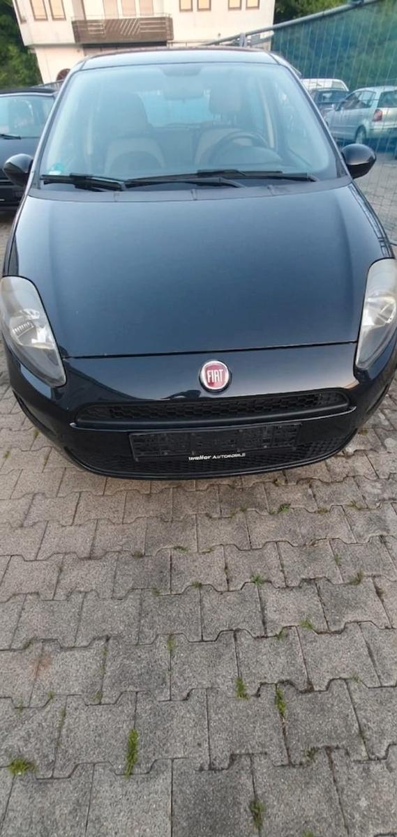 Fiat Punto More