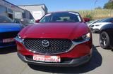 Mazda CX-30 2.0 SKYACTIVE-G My Hy. 150 Selection - Mazda CX-30 mit Hybrid-Antrieb