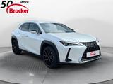 Lexus UX 250 h Style Edition - Lexus UX aus 2022