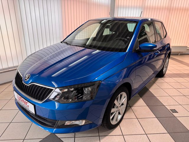 Skoda Fabia Joy/1.Hand/erst 61432km