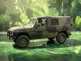 Mercedes-Benz G 250 Cabrio - Mercedes-Benz G 250 Gebrauchtwagen