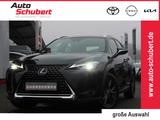 Lexus UX 250h LAUNCH+NAVI+LED+SITZHZG+APPLECAR+KAMERA+ - Lexus aus 2019