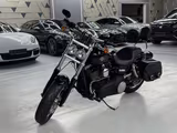 Harley-Davidson FAT BOB 96 SOZIUS PAKET - HARLEY-DAVIDSON VON 751 BIS 1000 CCM