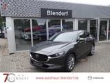 Mazda CX-30 Selection 150 Automatik Allrad|Matrix-LED| - Mazda CX-30 in Essen