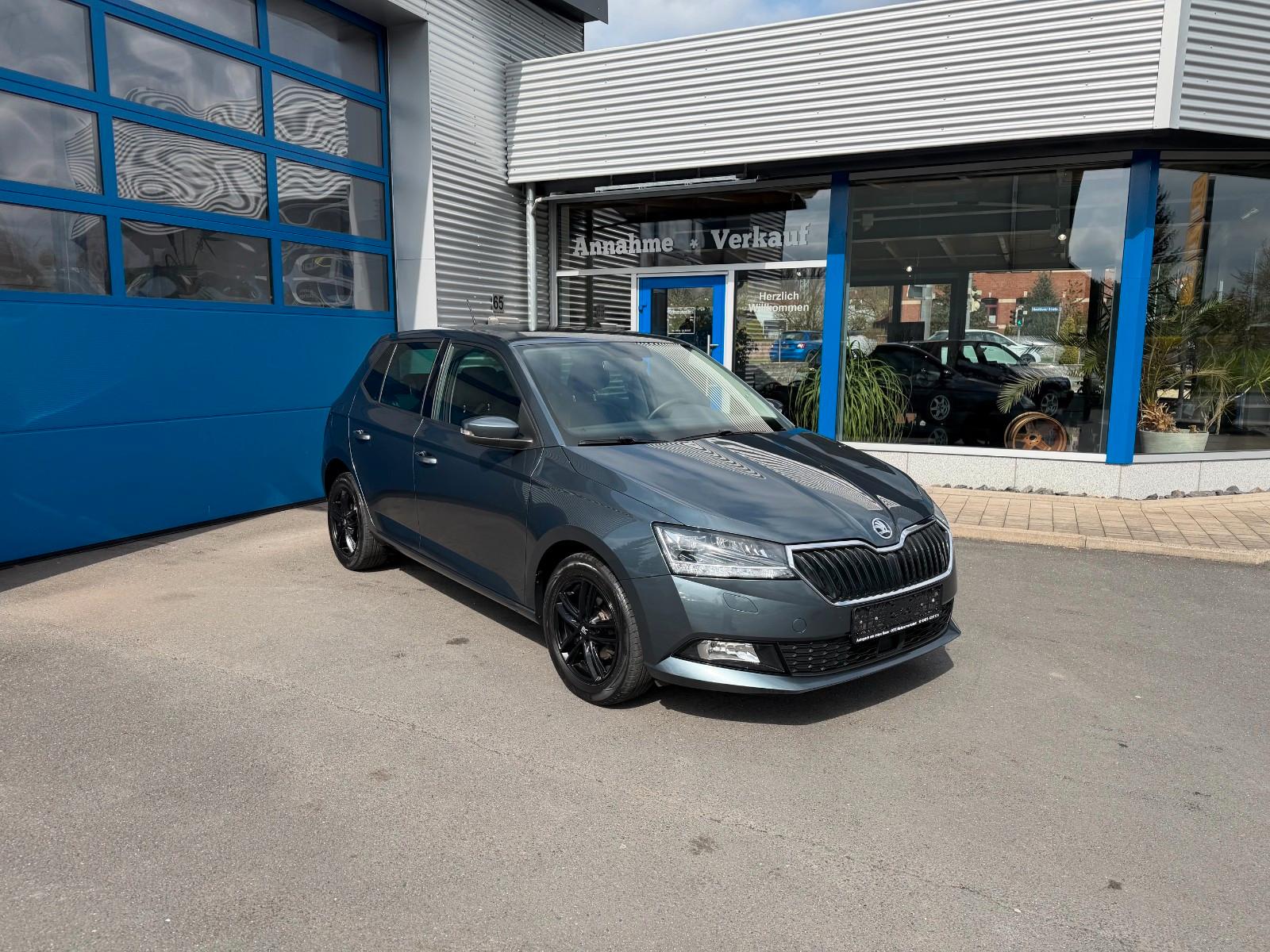 Skoda Fabia Style RFK*Tempomat*FULLLInk*SHZ