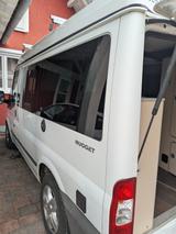 Ford Nugget - Nugget