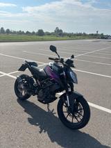 KTM DUKE - STREETFIGHTER VON 81 BIS 125 CCM