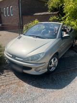 Peugeot 206 CC, Roland Garros - Peugeot 206: Roland Garros
