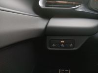 Cupra Terramar - Vorschau Bild 16