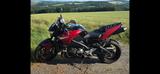 Suzuki B-King - SUZUKI KING