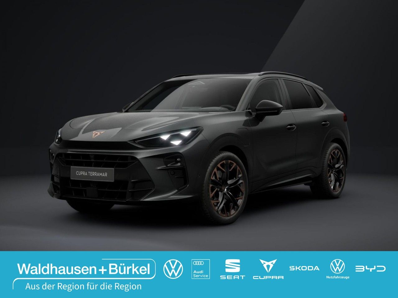 Cupra Terramar - Bild 1