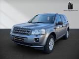 Land Rover Freelander 2 2.2 TD4 DPF TD4 SE - Land Rover Freelander mit Panoramadach