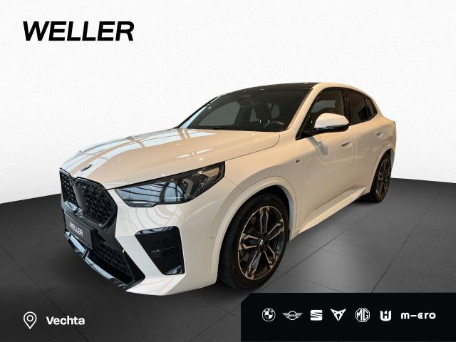 BMW X2 sDrive20i M Sport RFK LiCoPlu H/K AHK 19''