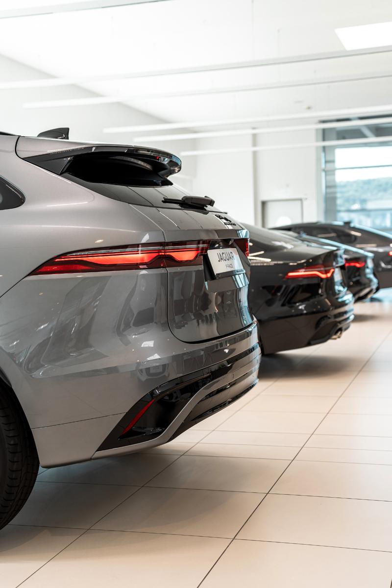 showroom-image-top