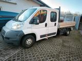 Fiat Ducato Pritsche tüv bis August 2026 7 sitz - Fiat Ducato: Pritsche