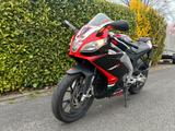 Aprilia RS4 125 - APRILIA RS 125