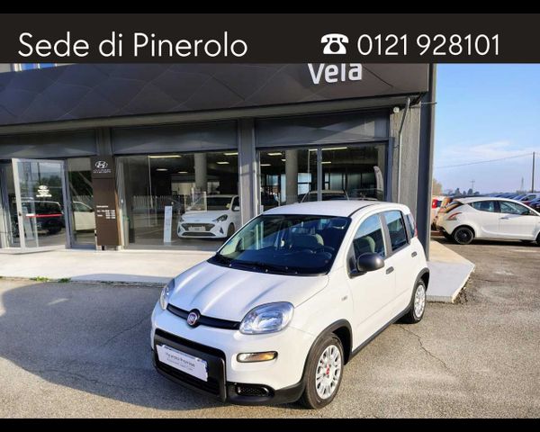 Fiat FIAT Panda III 2021 - Panda 1.0 firefly hybrid s