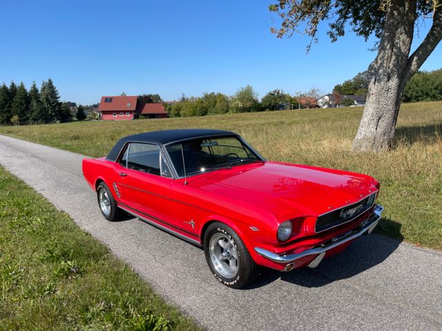 Ford Mustang, tolle Farbkombi, schönes Auto