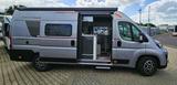 Roller Team Livingstone 2 Advance Automatik 8 Packete!! - Roller Team Kastenwagen