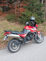 Triumph Tiger 955i - TRIUMPH TIGER 955I