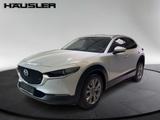 Mazda CX-30 Exclusive-line 2.0 Automatik Navi LED Kame - Mazda CX-30 Exclusive-Line mit Hybrid-Antrieb (Benzin/Elektro)