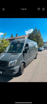 Mercedes-Benz Mercedes Sprinter 313 CDI Maxi lang TÜv NEU - Mercedes-Benz Sprinter: 313 Cdi Maxi