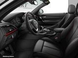 BMW 220i Sport Line RFK+SPORTSITZ+PDC+XENON+ - BMW 2 Series: Sport Line