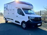 Renault Master Pferdetransporter MSG