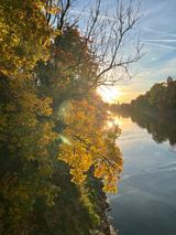 Andere Suche gepflegtes Auto bis 2.000 - Andere aus 2000