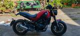 Benelli Leoncino  - BENELLI LEONCINO