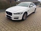 Jaguar XE E-Performance 163PS Pure Pure - Jaguar XE Pure mit Diesel-Antrieb