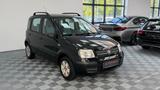 Fiat Panda 1.2 8V Dynamic sparsam & gepflegt - gebrauchte Fiat Panda aus dem Jahr 2009