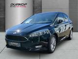 Ford Focus Cool & Connect,SHZ,LenkradHZG,Ambiente - Ford Focus: Connect