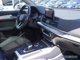 Audi SQ5 3.0 TFSI qu. Matrix Nav Pano PDC Sitzh - Audi SQ5 in Nürnberg