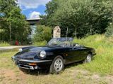 Alfa Romeo Spider