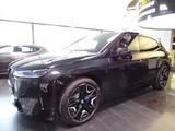 BMW iX 40 xDrive Sport Pano H&K Laser Cam360 AHK DAB - graue BMW iX
